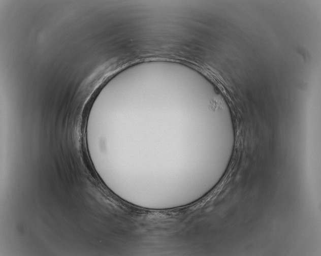 X0000115640290200911101102