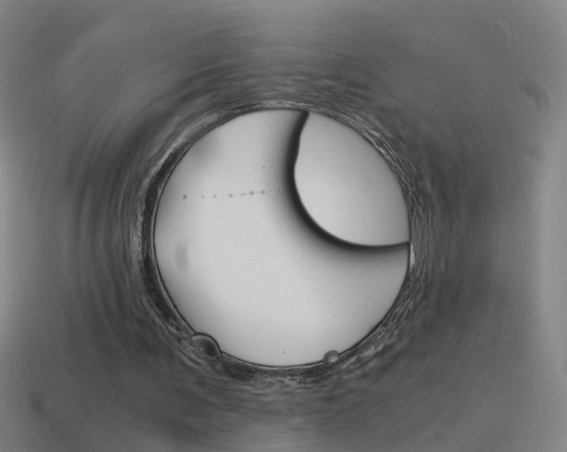 X0000115640291200911101102