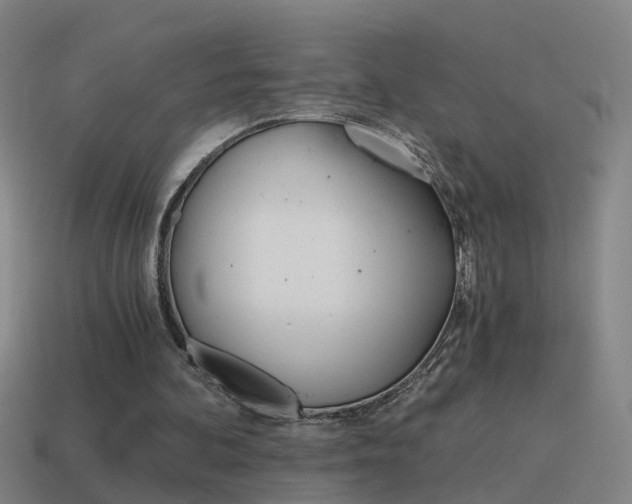 X0000115640292200911101102
