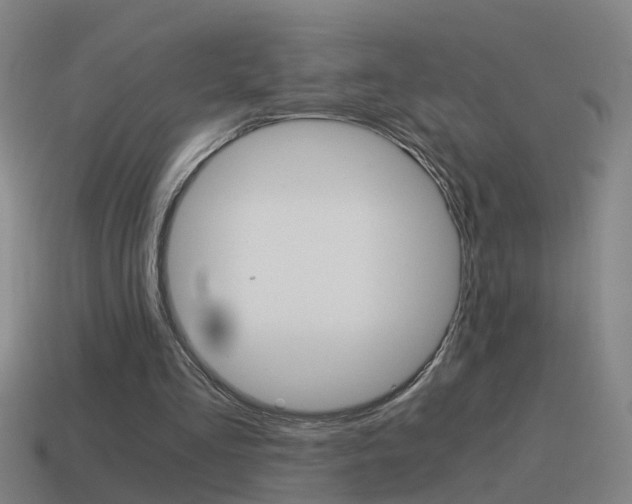 X0000115640293200911101102