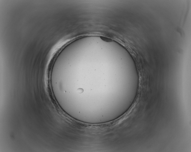 X0000115640294200911101102