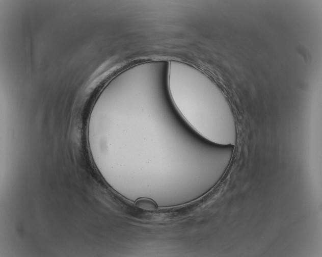 X0000115640295200911101102