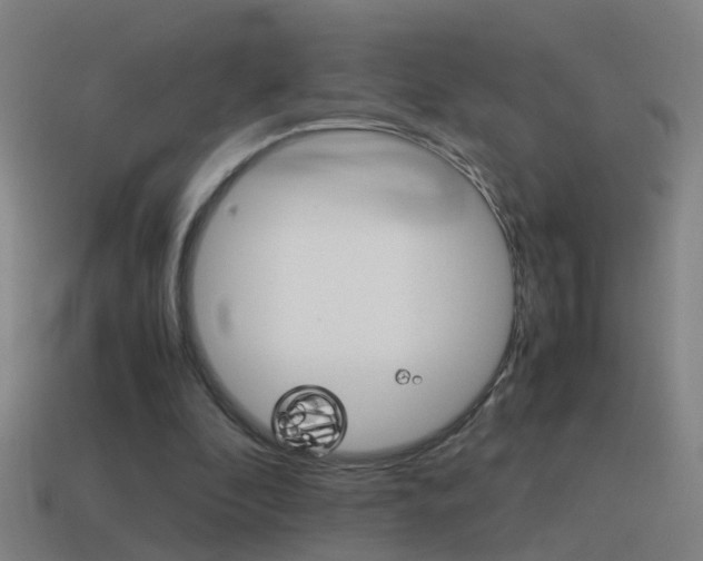 X0000115640296200911101102