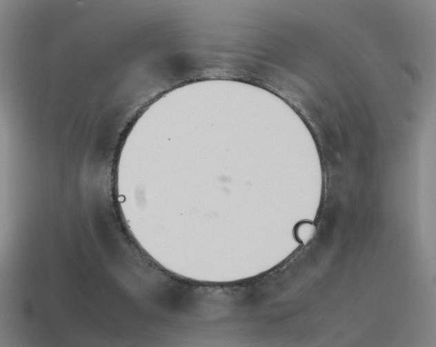 X0000115640297200911101102
