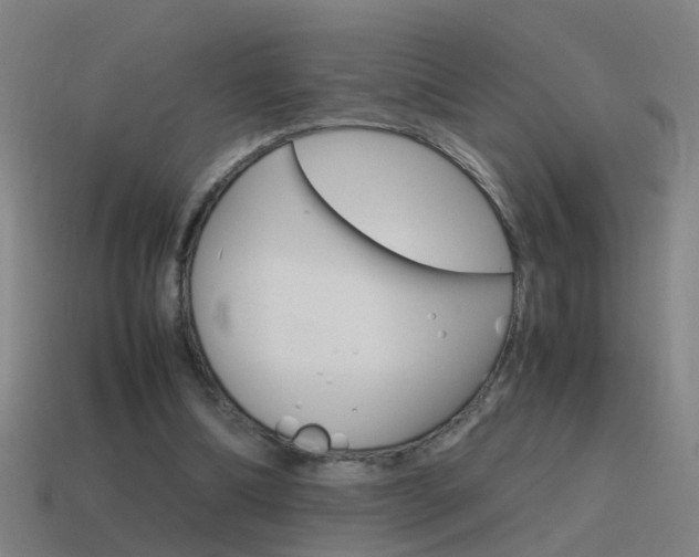 X0000115640298200911101102