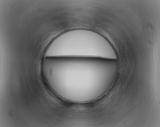 X0000115640299200911101102