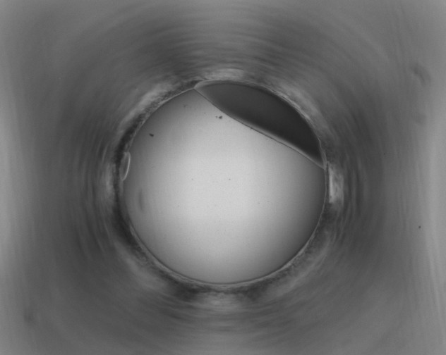 X0000115640300200911101102