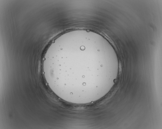 X0000115640301200911101102