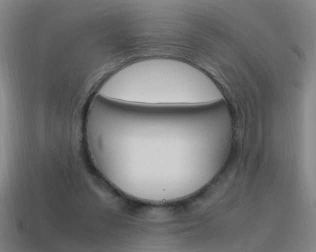 X0000115640303200911101102