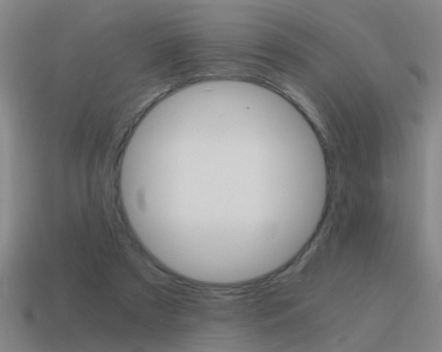 X0000115640305200911101101