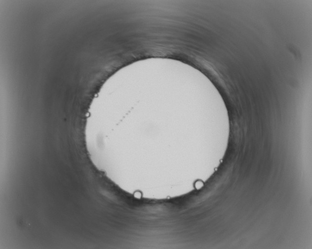 X0000115640307200911101101