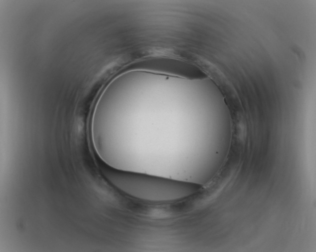 X0000115640308200911101101