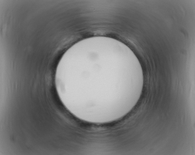 X0000115640311200911101101