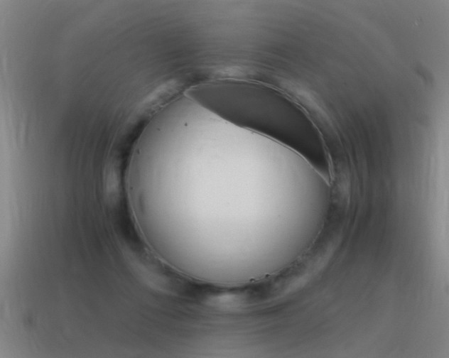X0000115640312200911101101