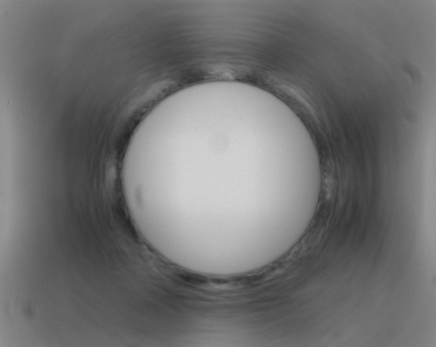 X0000115640314200911101101