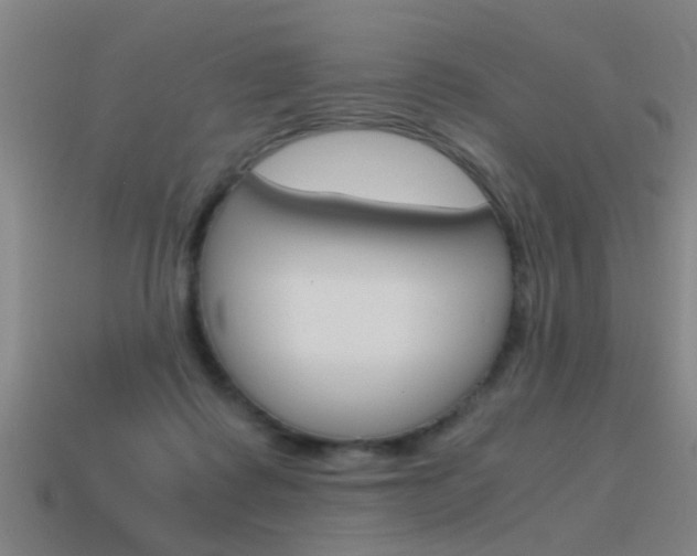 X0000115640315200911101101