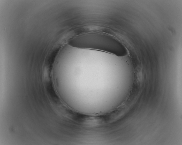 X0000115640316200911101101