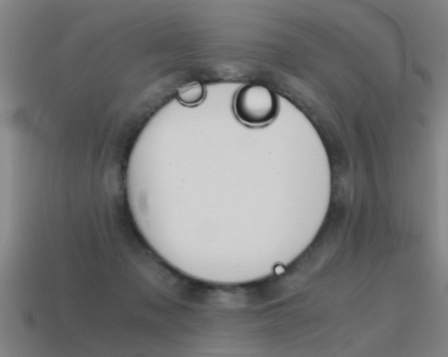 X0000115640317200911101101
