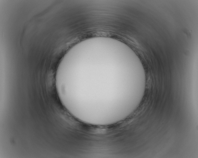 X0000115640318200911101101