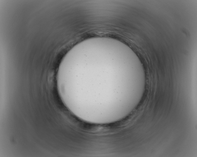 X0000115640319200911101101