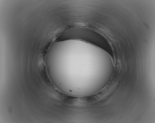 X0000115640320200911101101