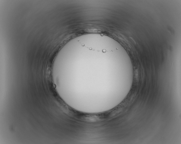 X0000115640322200911101101