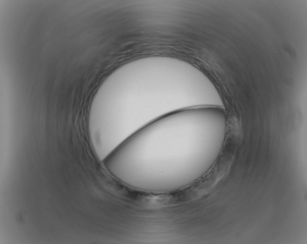 X0000115640323200911101101