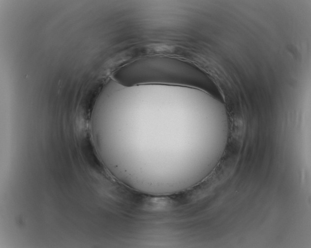 X0000115640324200911101101
