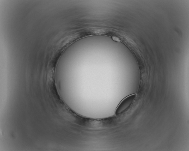X0000115640325200911101101