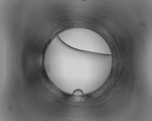 X0000115640326200911101101