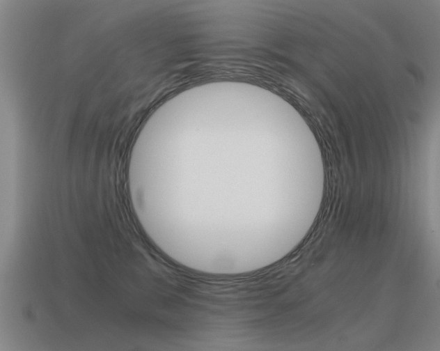 X0000115640327200911101101