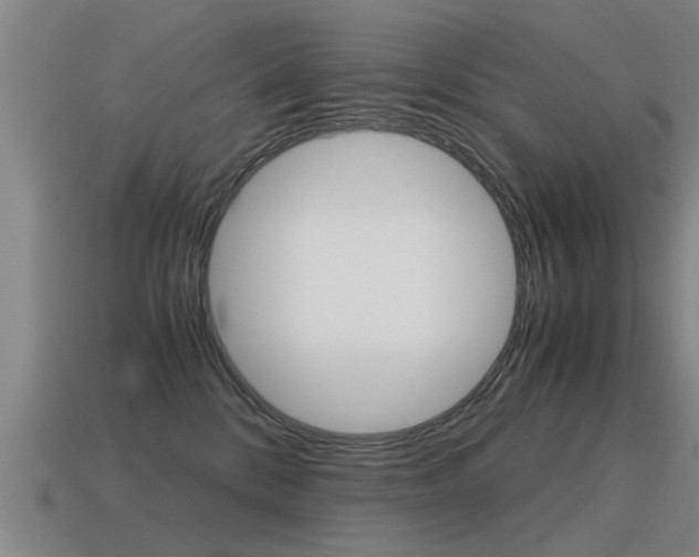 X0000115640328200911101101