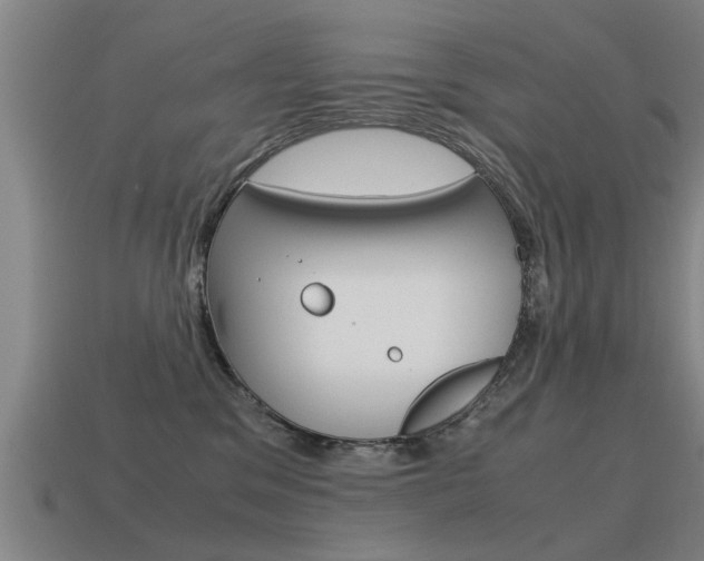 X0000115640329200911101101