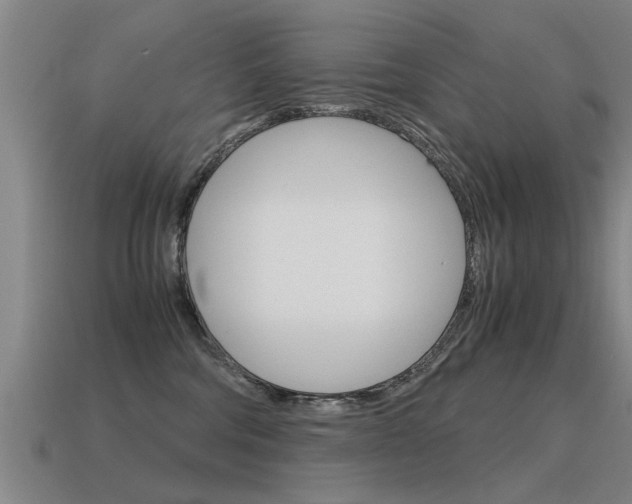 X0000115640330200911101101