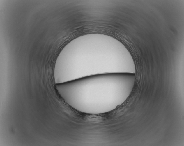 X0000115640331200911101101