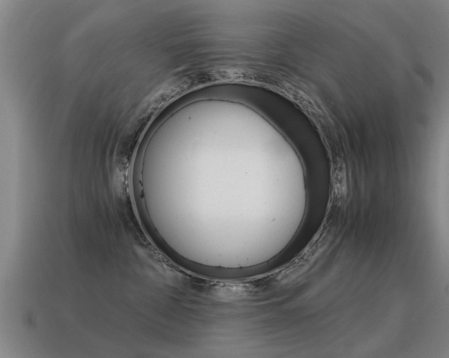 X0000115640332200911101101