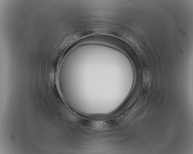 X0000115640333200911101101