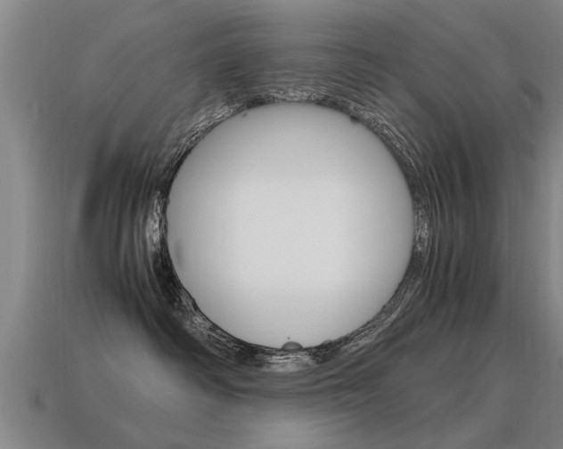 X0000115640334200911101101
