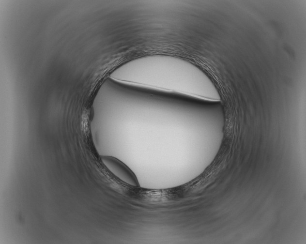 X0000115640335200911101101