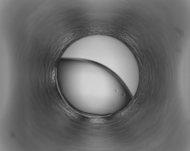 X0000115640336200911101101