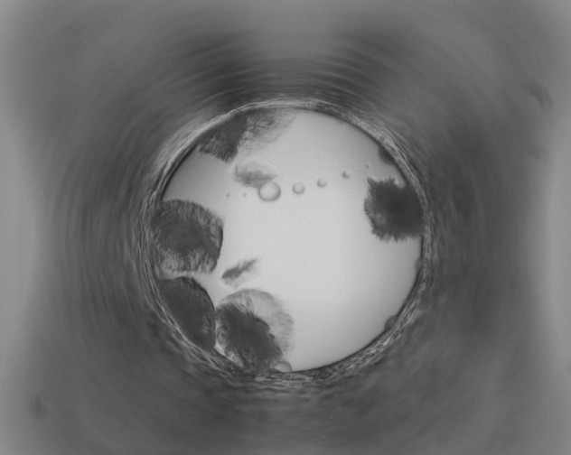X0000115640337200911101100