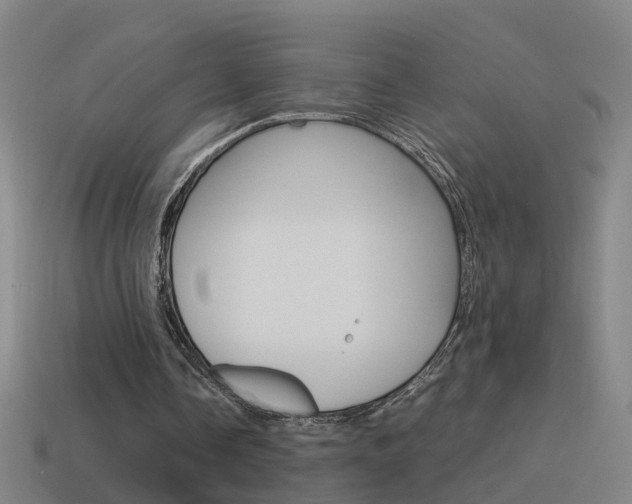 X0000115640338200911101100