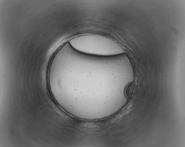 X0000115640341200911101100