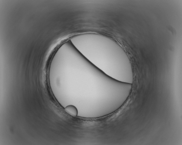 X0000115640342200911101100