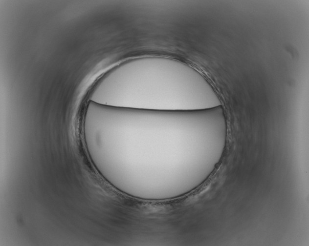 X0000115640343200911101100