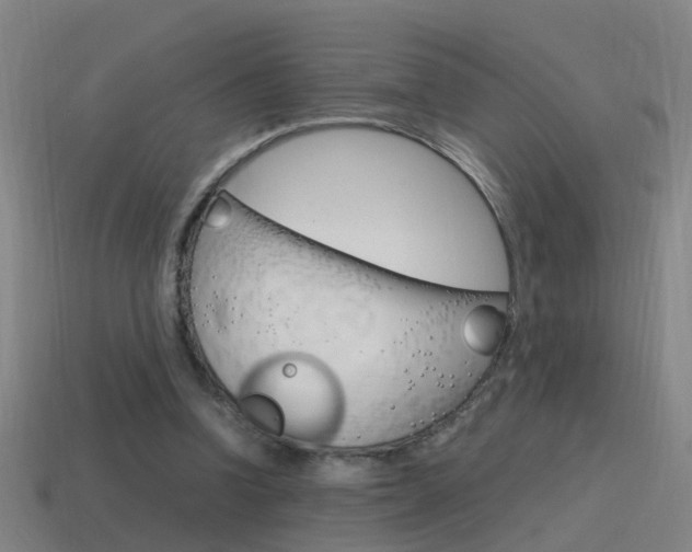 X0000115640346200911101100