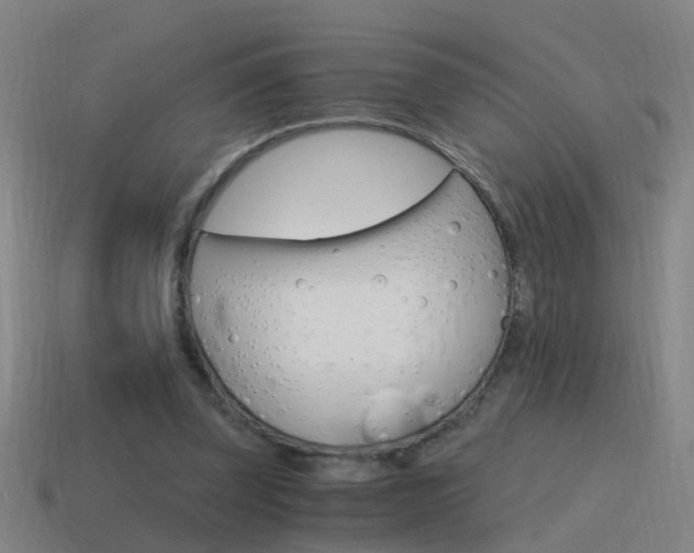 X0000115640347200911101100