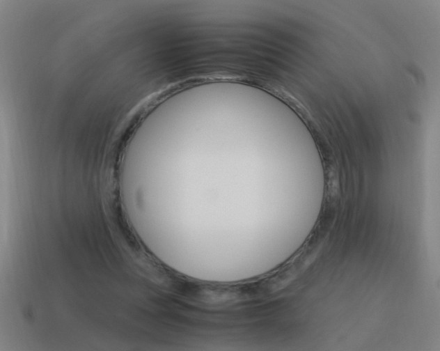 X0000115640351200911101101