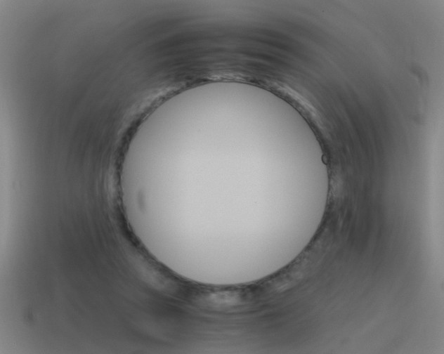 X0000115640353200911101101