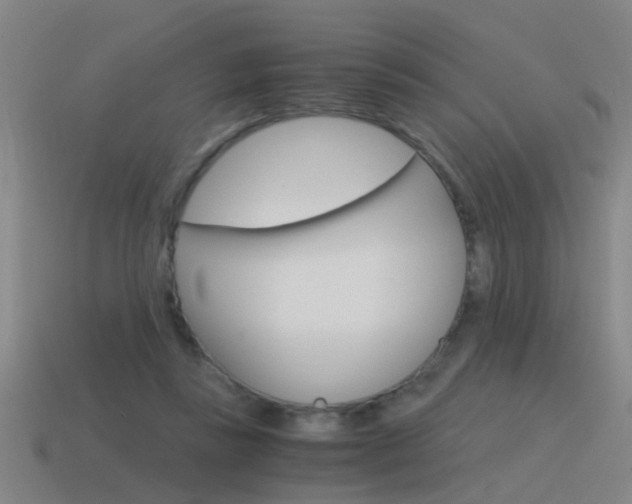 X0000115640355200911101101